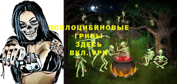 соль ск Алексеевка